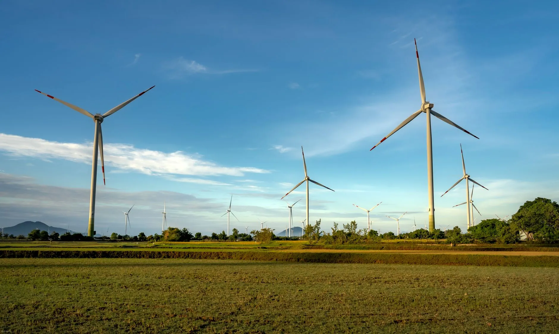 Renewable energy for businesses in Sheffield